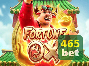 465BET login — painel de entrada no app oficial